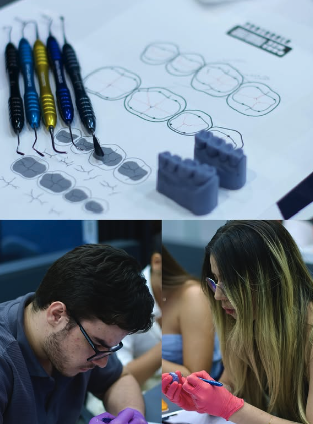 Instrumentais e prática de anatomia oclusal